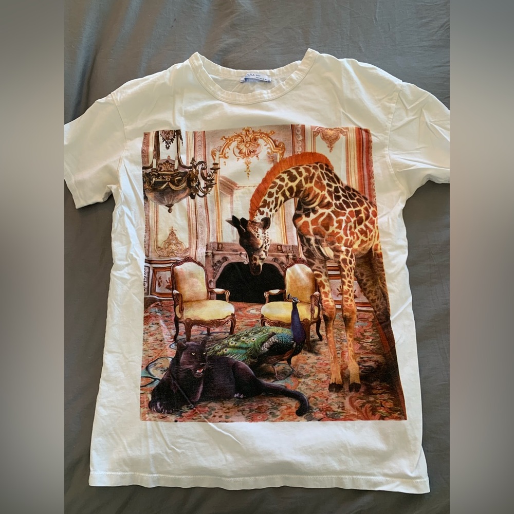 Zara t-shirt Size S